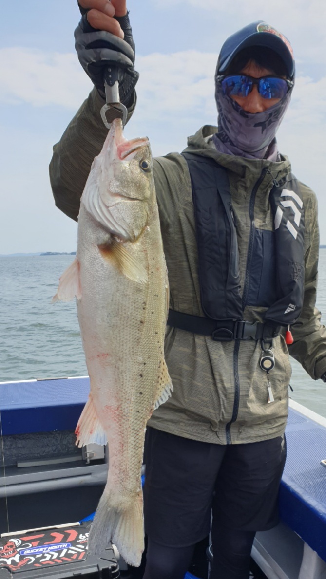 7월5일 뉴대성호 외수질조황