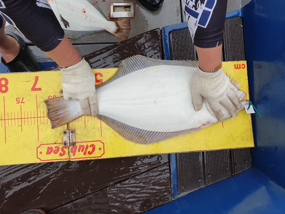 7월 31일 대성호 8人  첫 외수질 조황