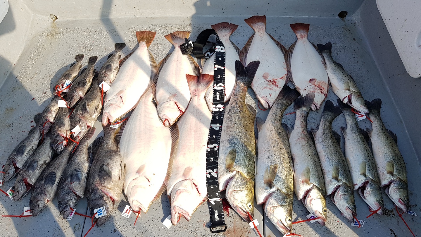 7월4일 뉴대성호 외수질조황