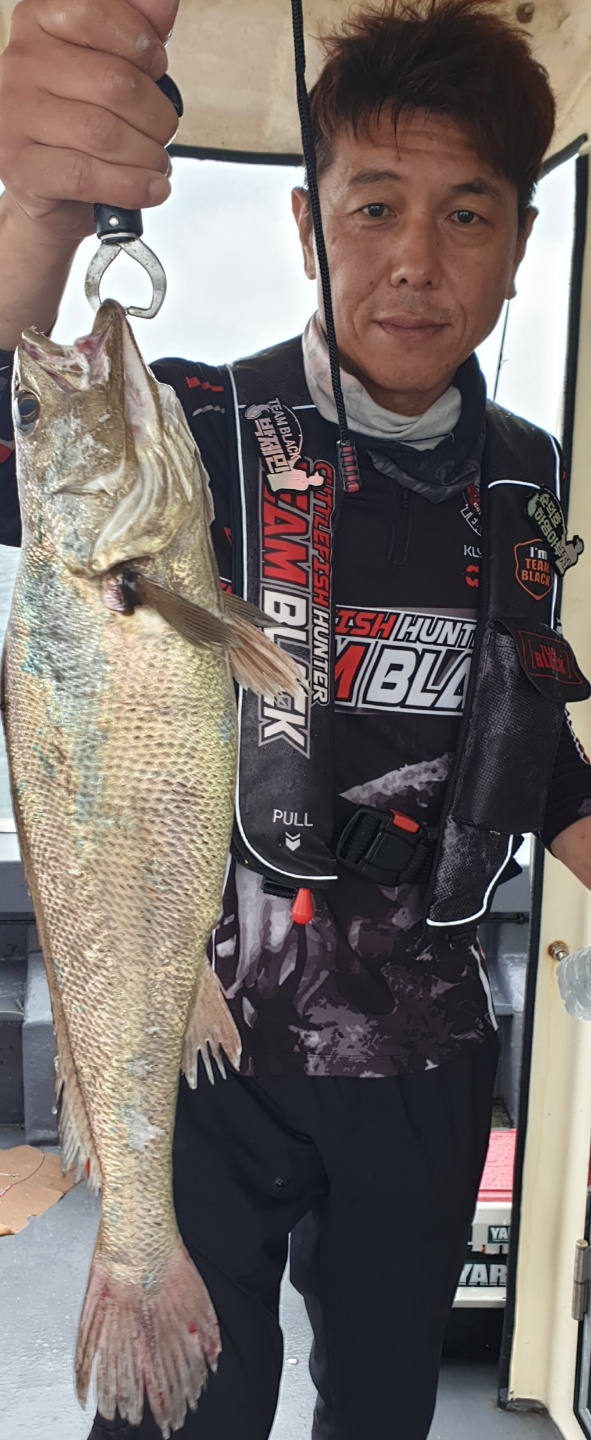 7월 12일 대성2호 백조기조황