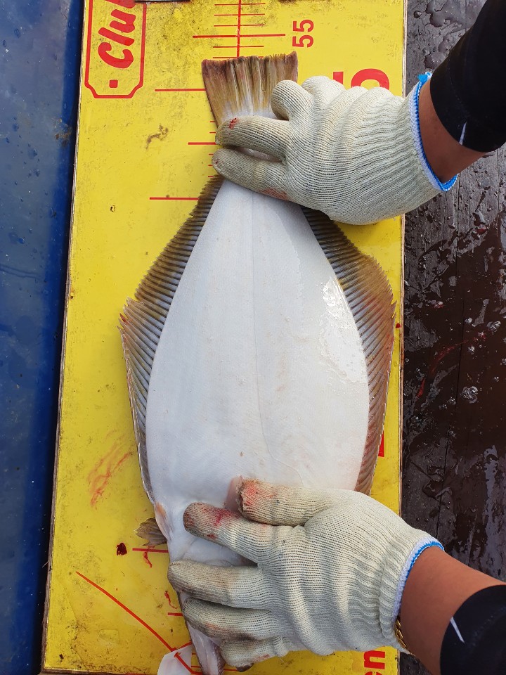 7월 18일 5人 다운샷조황