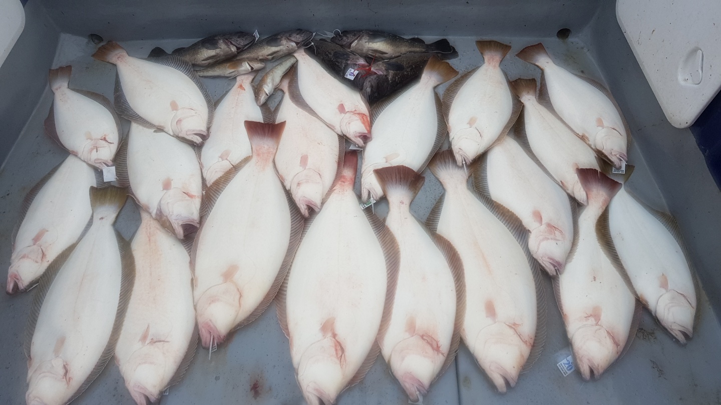 7월12일 뉴대성호 외수질조황