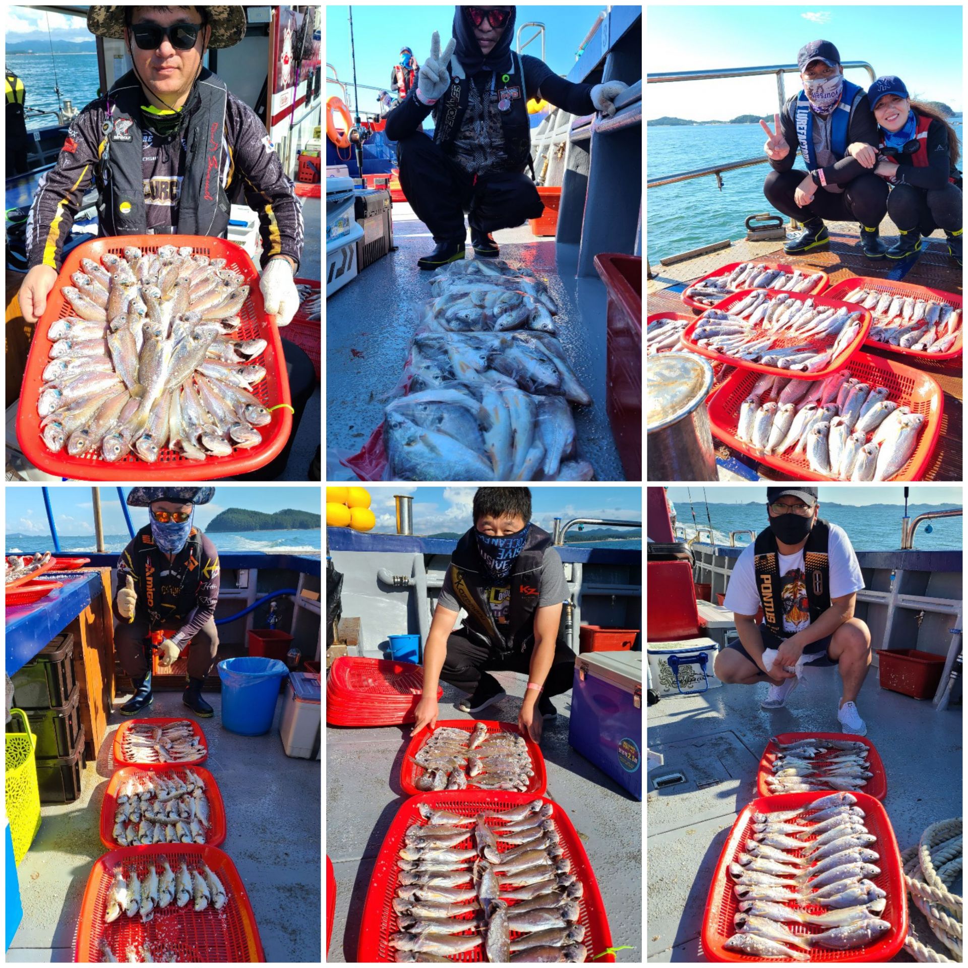 8월30일 뉴대성호 백조기조황