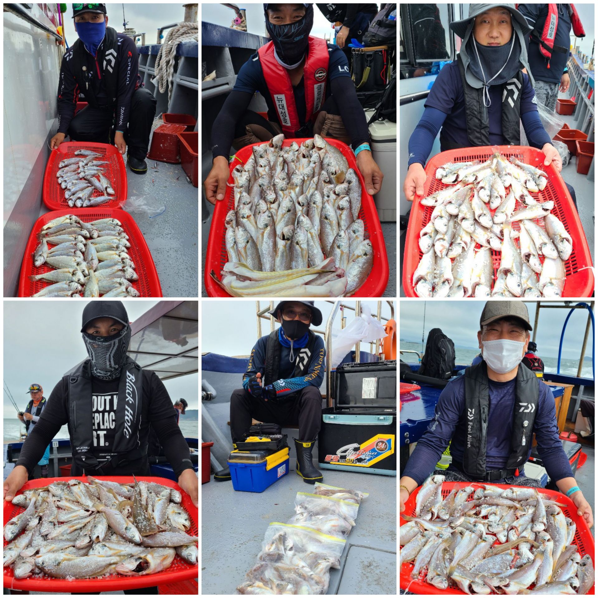 8월29일 뉴대성호 백조기조황