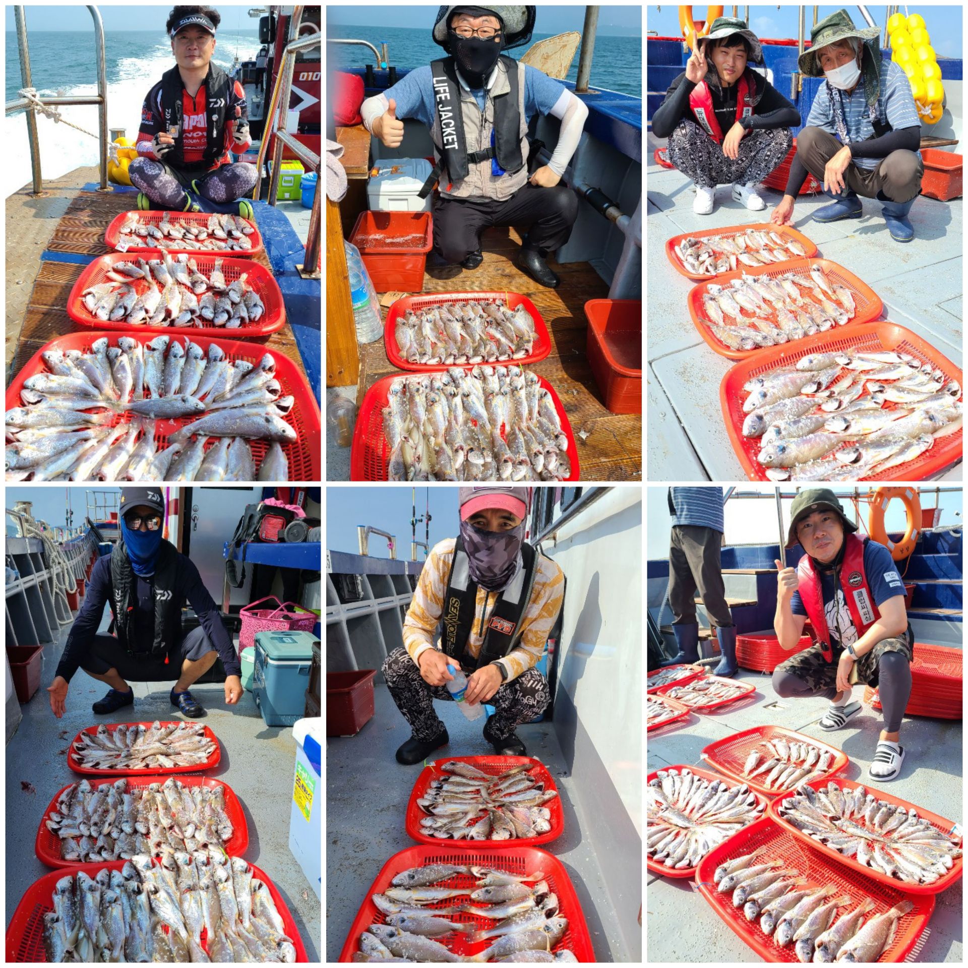 8월21일 뉴대성호 백조기조황