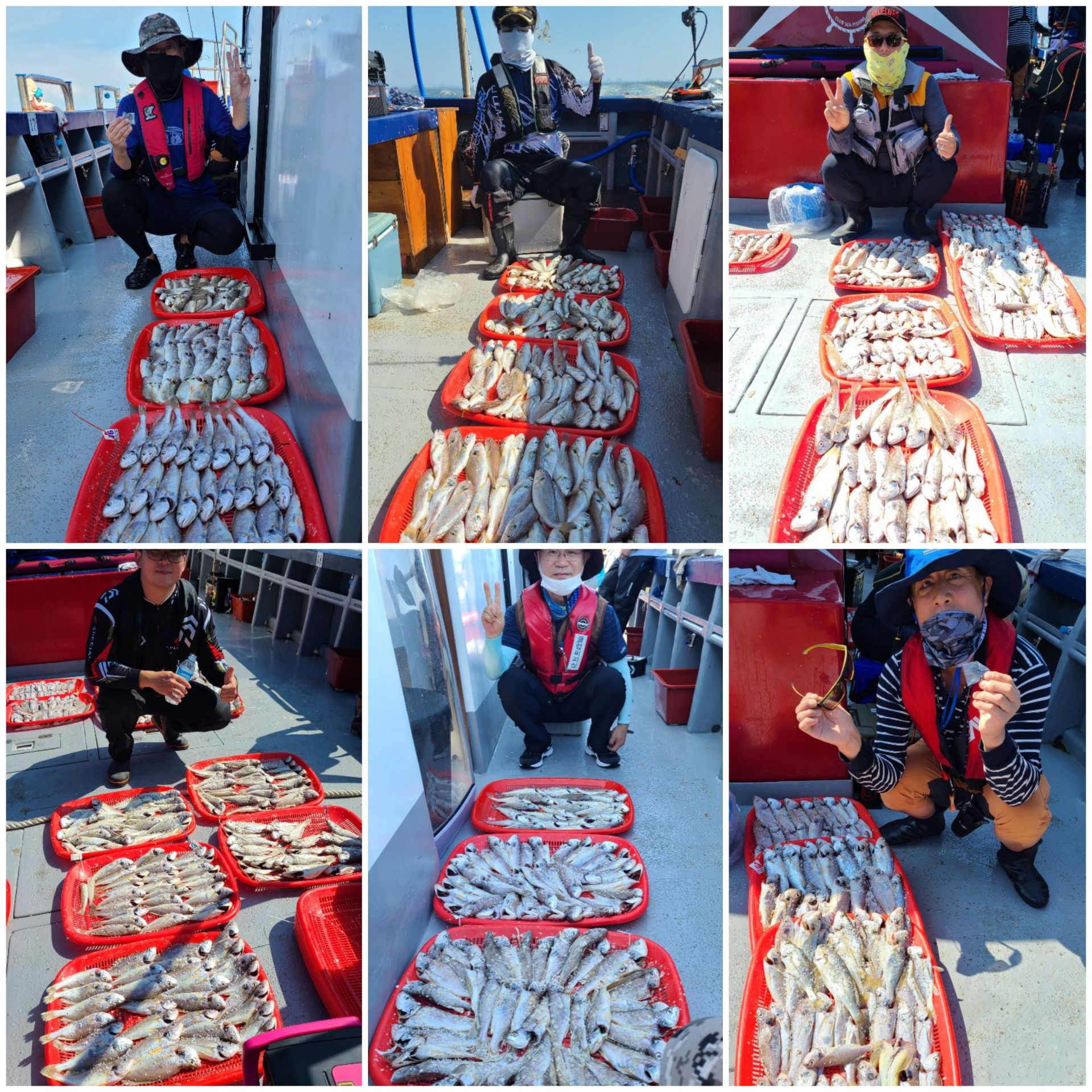 8월17일 뉴대성호 백조기조황