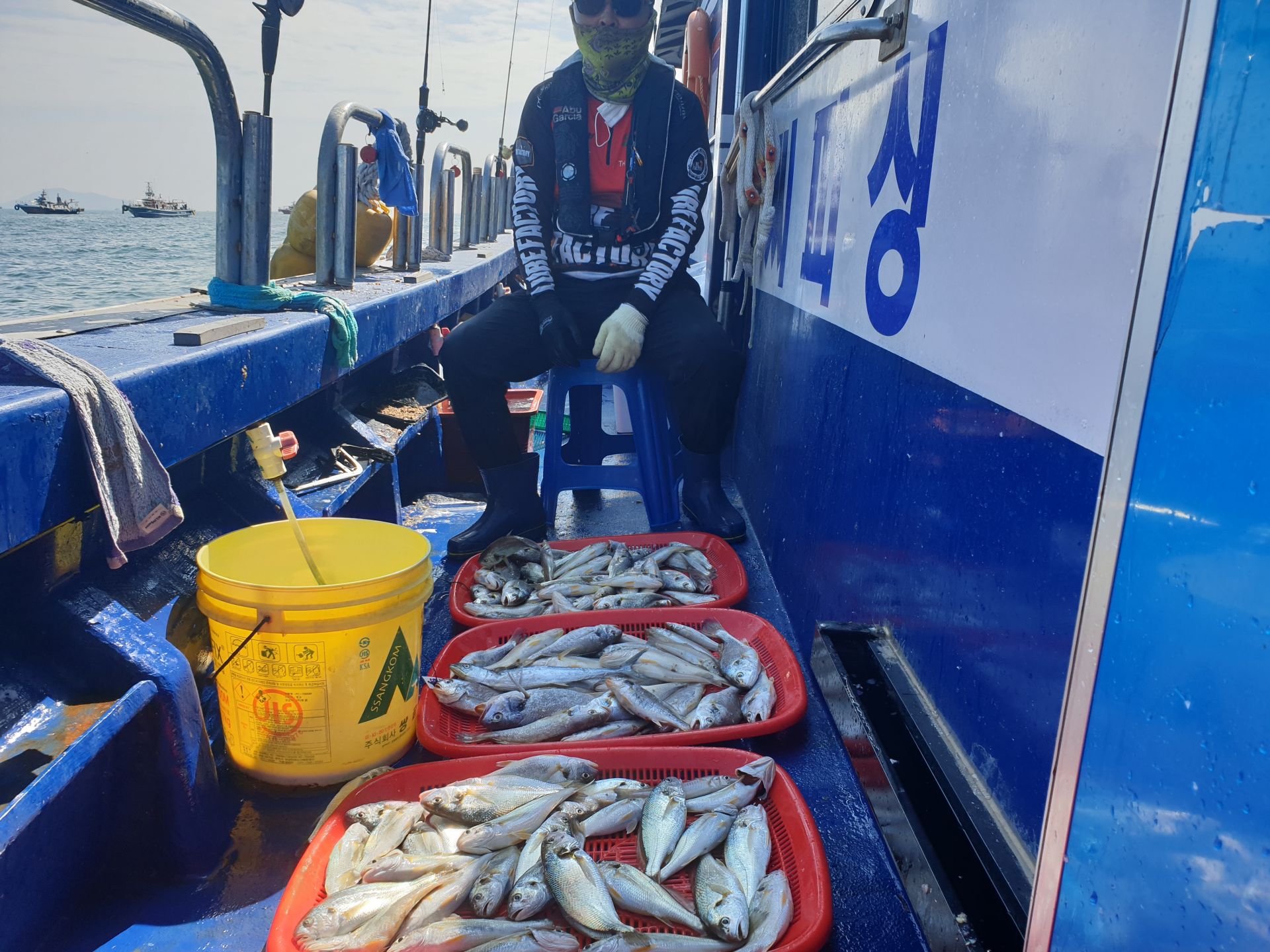 8월23일 대양호 백조기 조황