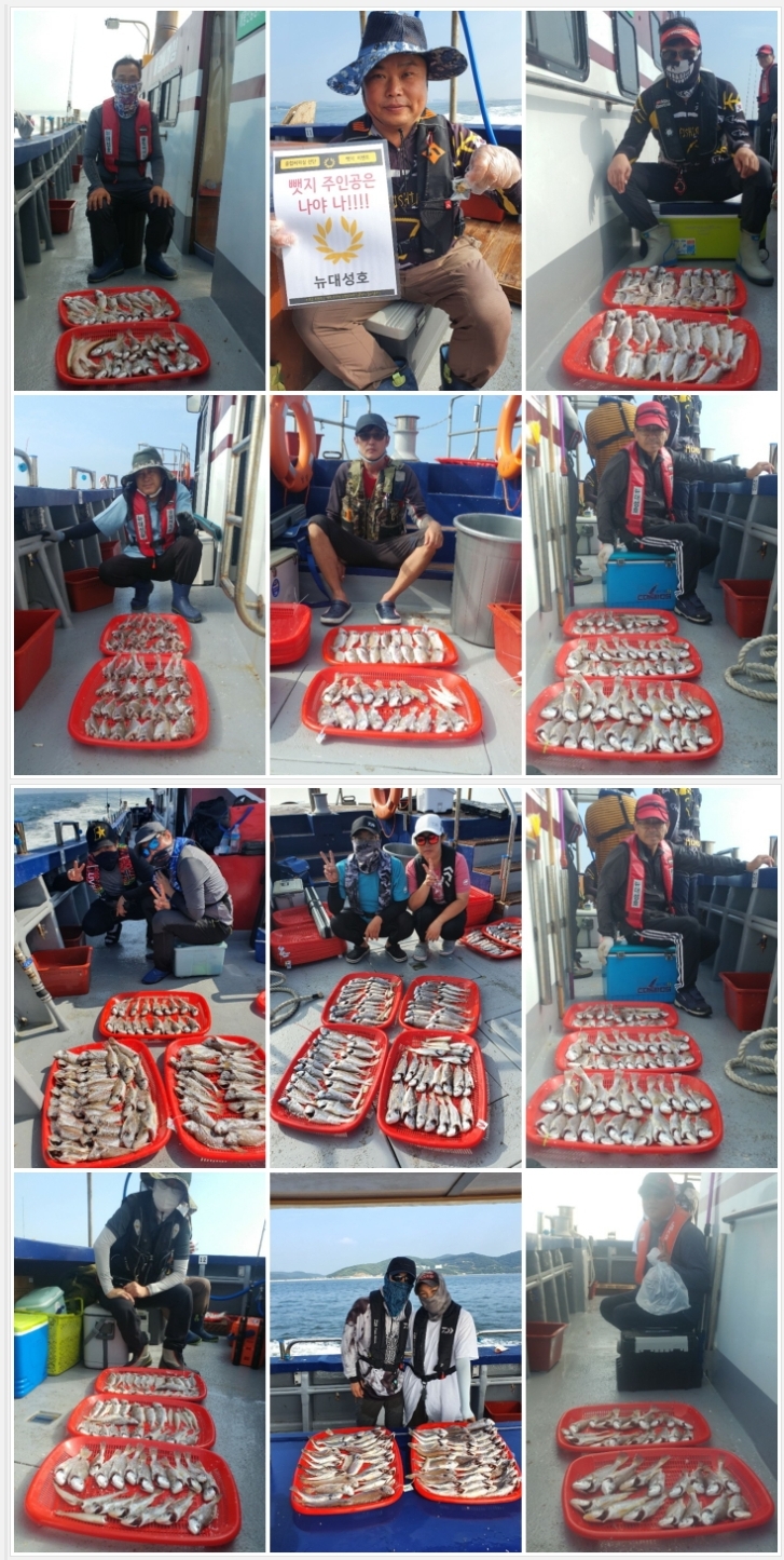 8월20일 뉴대성호 백조기조황