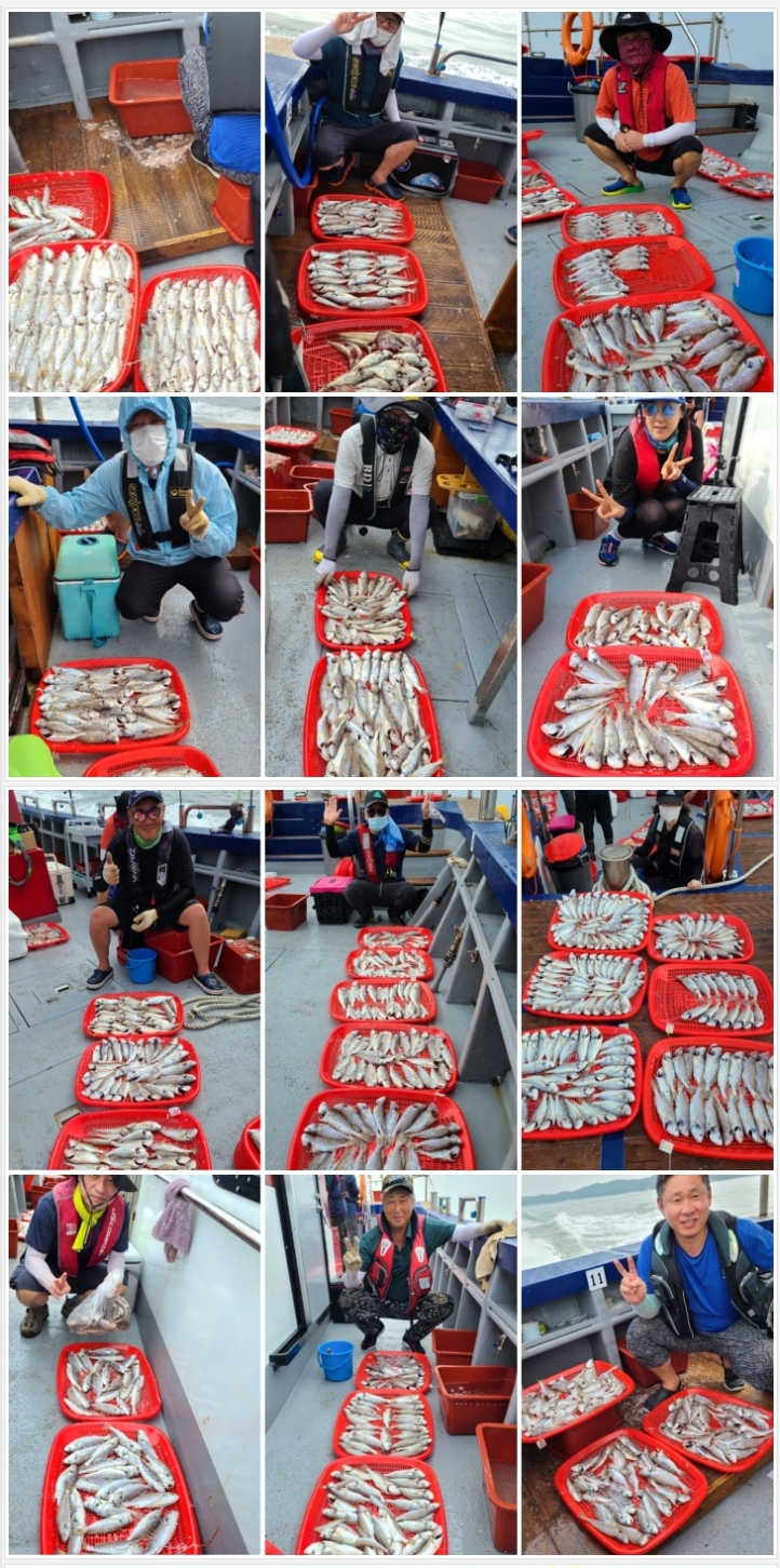 8월22일 뉴대성호 백조기조황