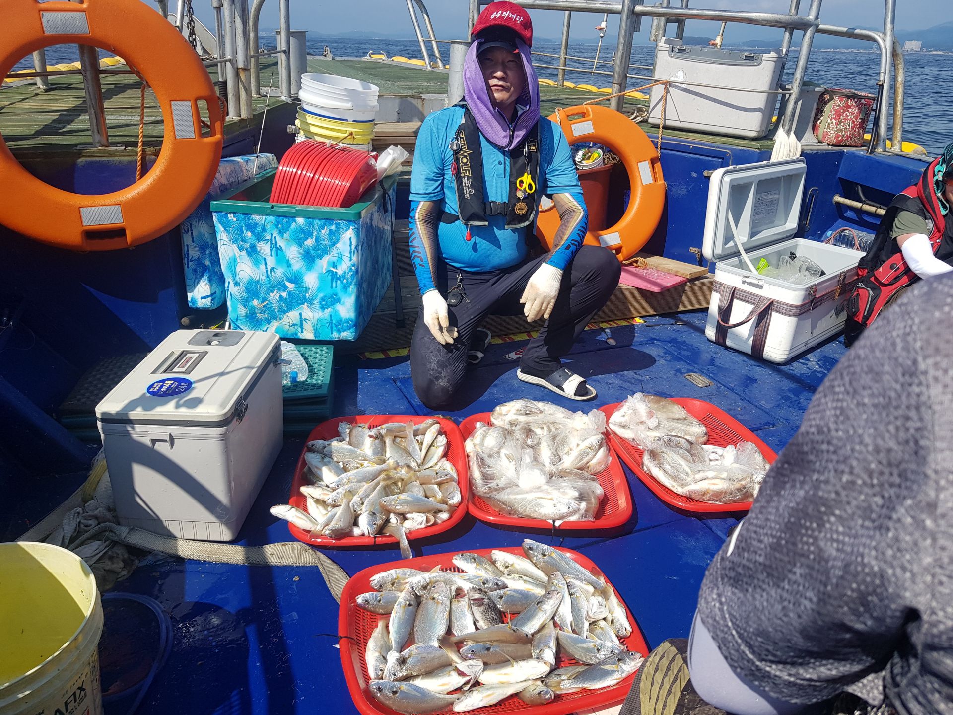 8월17일 대양호 백조기 조황