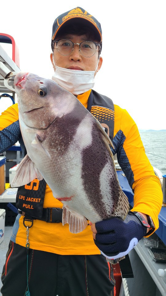 8월1일 뉴대성호 백조기조황