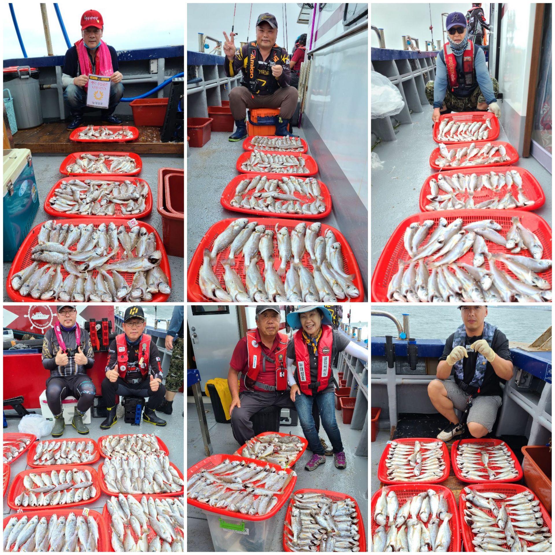 8월12일 뉴대성호 백조기조황