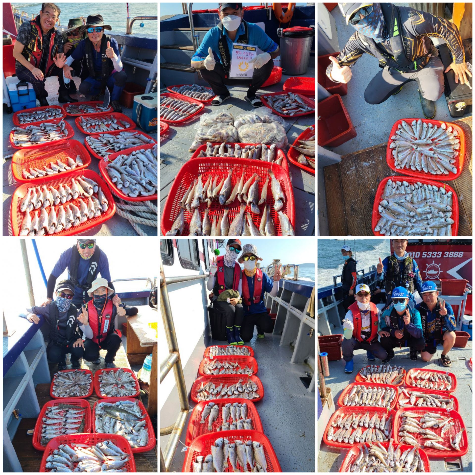 8월23일 뉴대성호 백조기조황