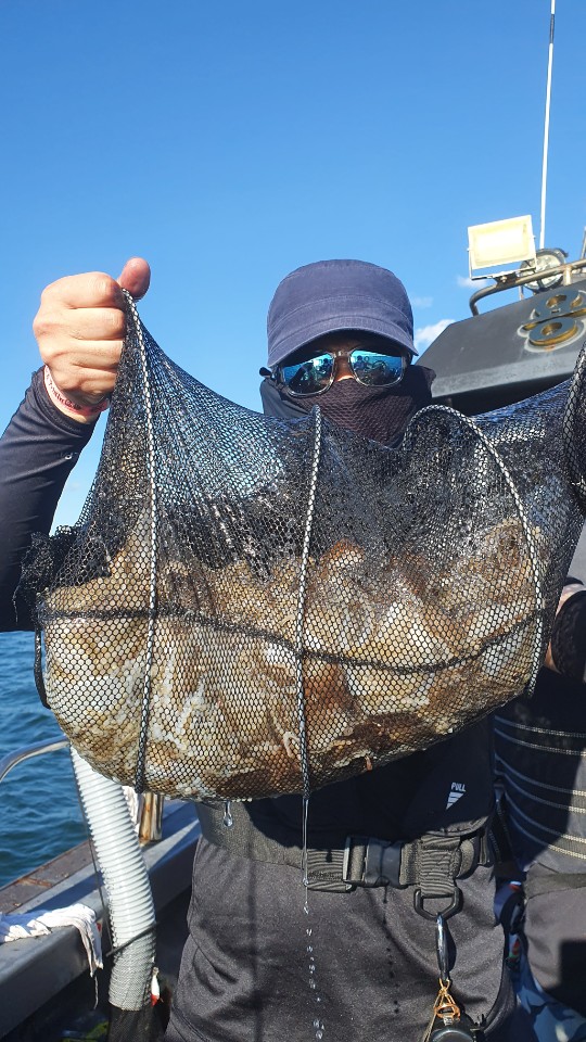 9월 13일 용진호 주꾸미 조황