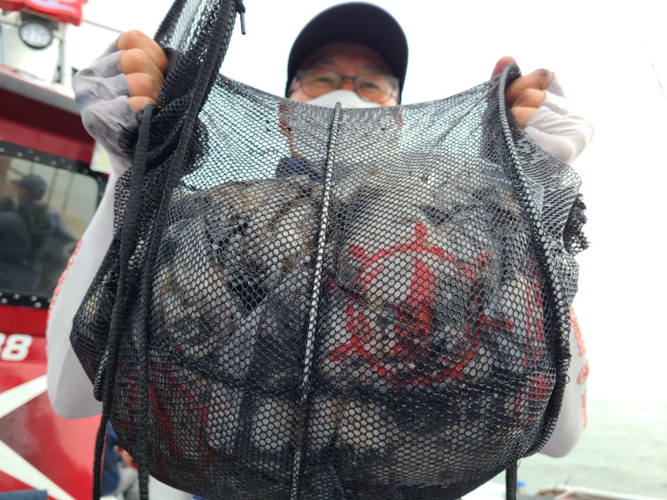 9월11일 뉴대성호 주꾸미조황