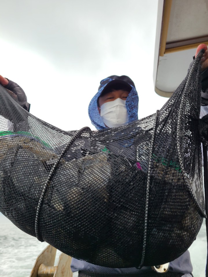 9월17일 뉴대성호 주꾸미조황