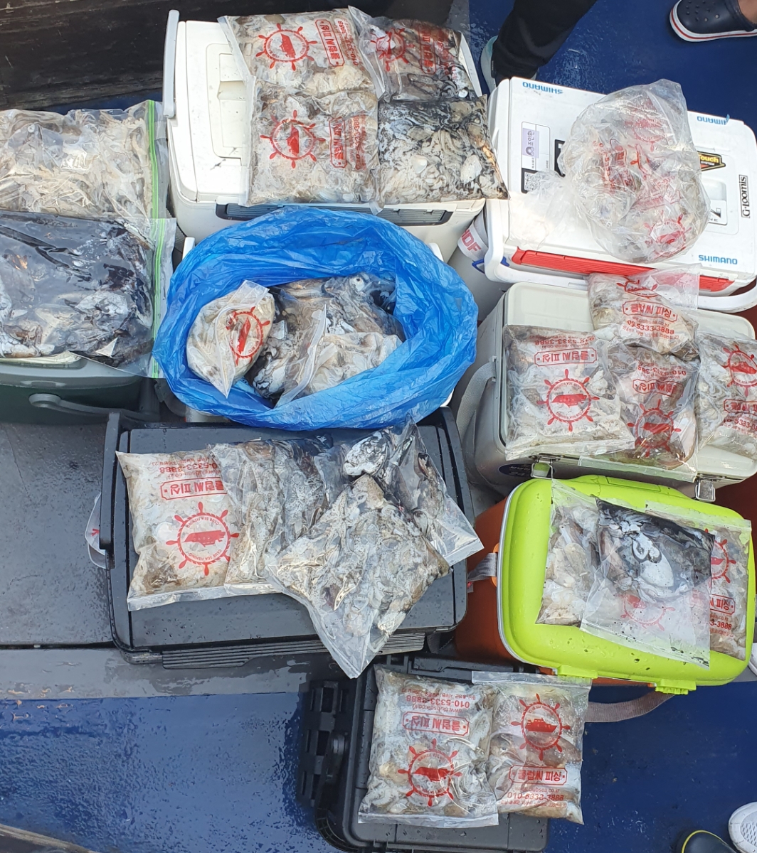 9월 20일 대성호 주꾸미조황입니다