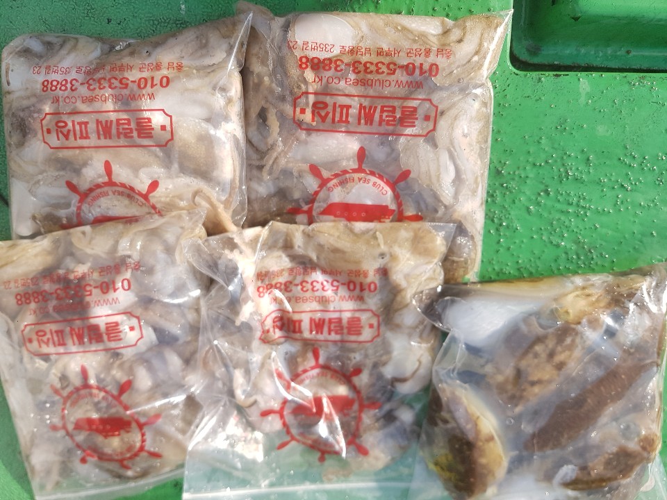 9월22일 뉴궁리호 주꾸미 조황