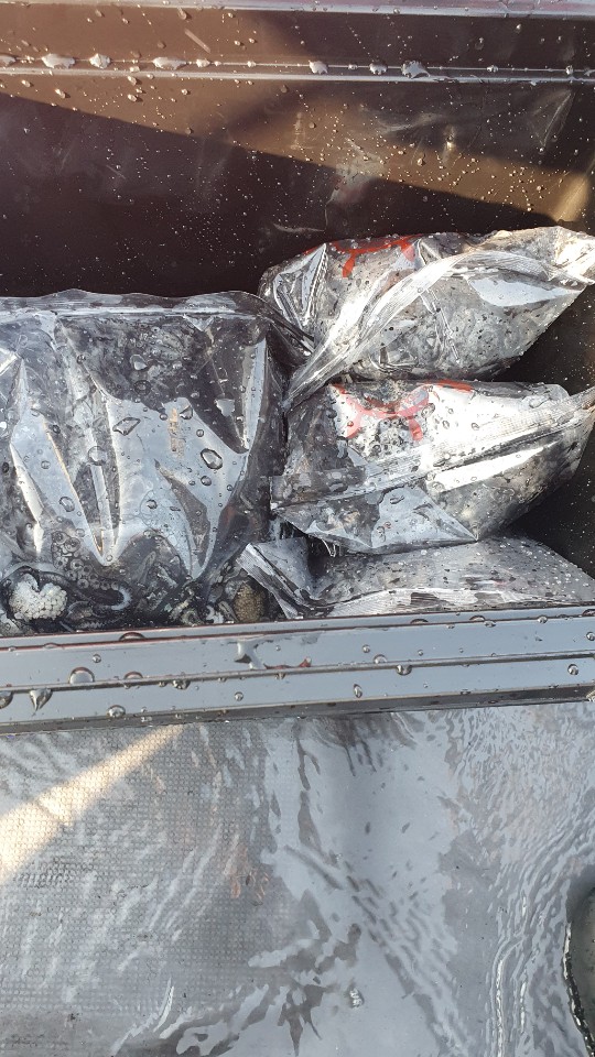 9월25일 용진호 갑오징어 조황