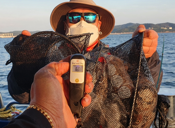 9월 28일 대성호 주꾸미 조황입니다