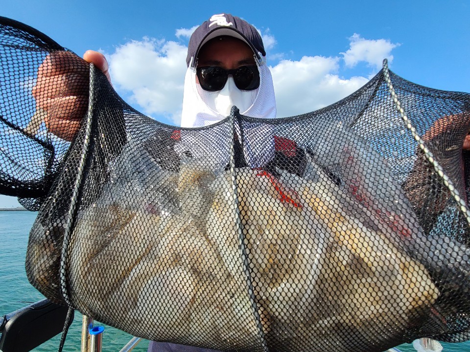 9월22일 뉴대성호 주꾸미조황