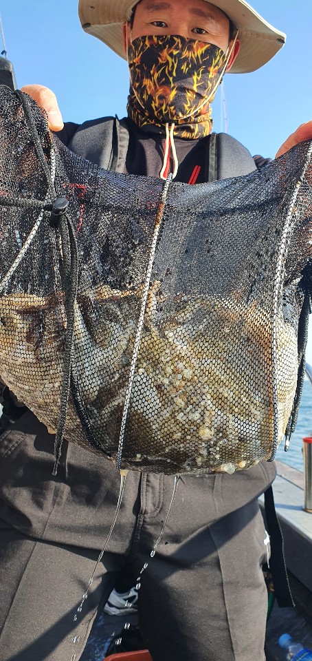 9월10일 용진호 주꾸미조황