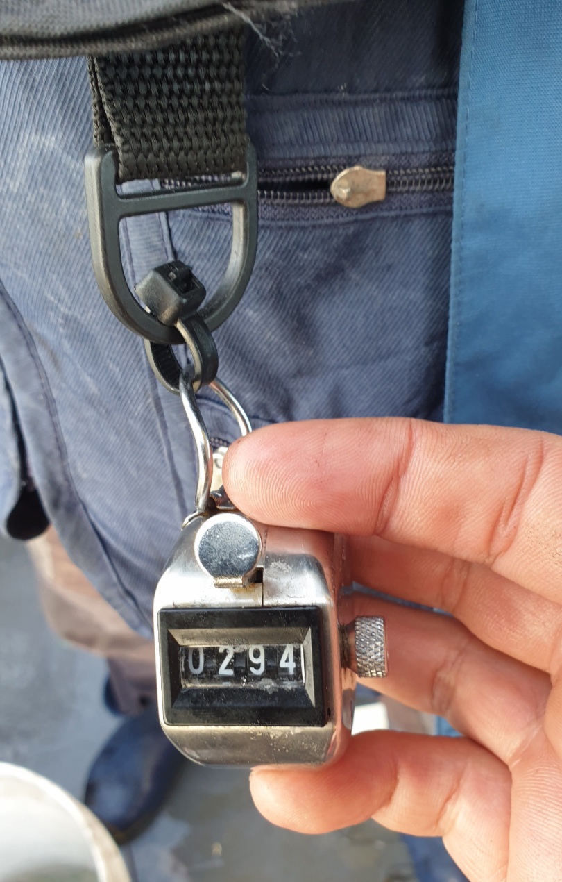 9월 24일 대성2호 쭈꾸미조황