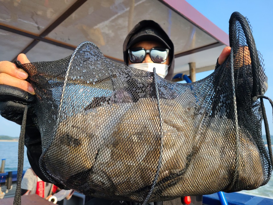 9월4일 뉴대성호 주꾸미조황