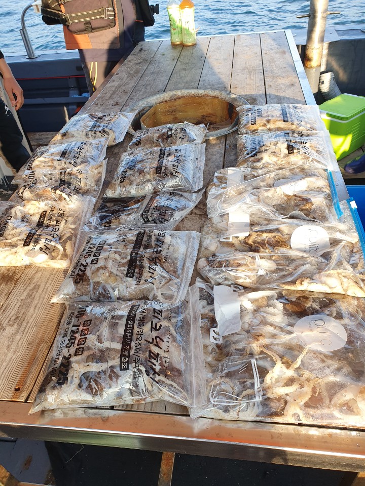 9월14일 피크닉호 주꾸미 조황