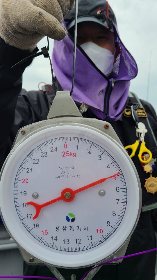 9월6일 뉴대성호 주꾸미조황