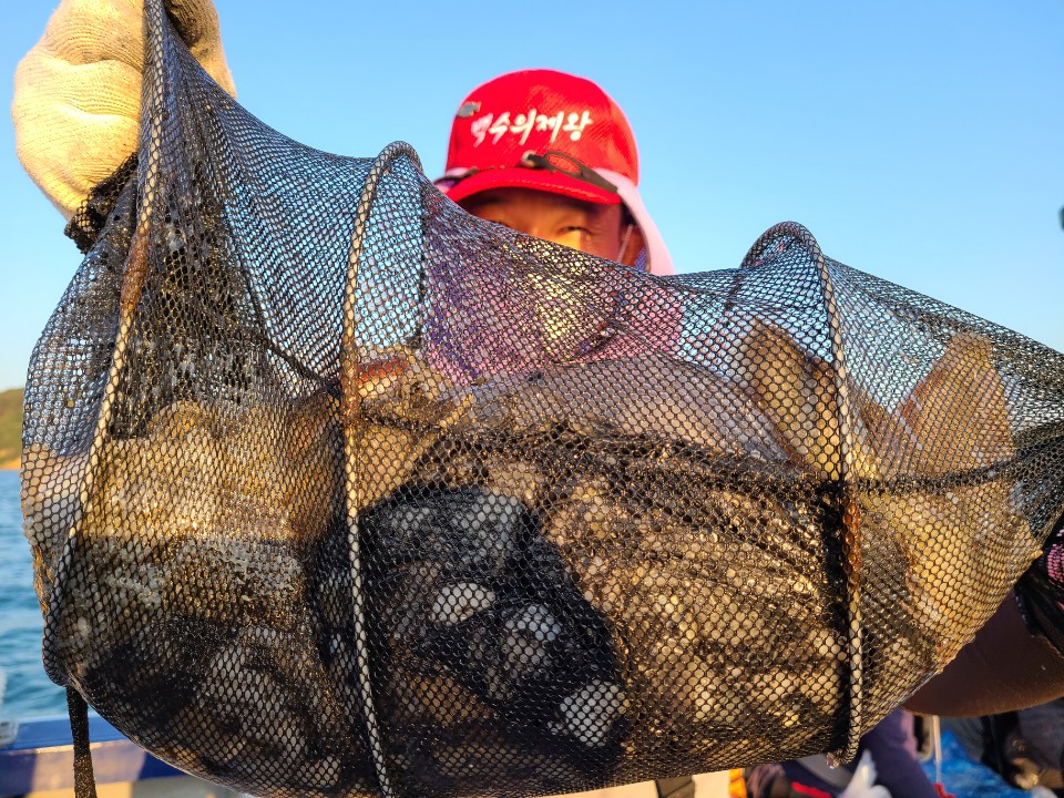 9월20일 뉴대성호 주꾸미조황