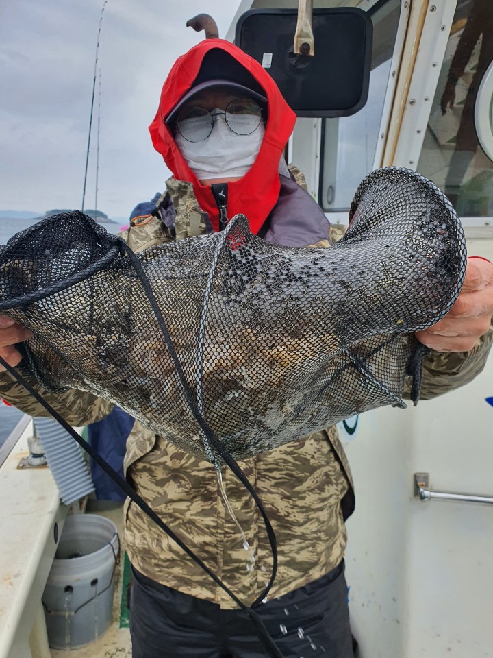 9월 12일 뉴궁리호 주꾸미조황