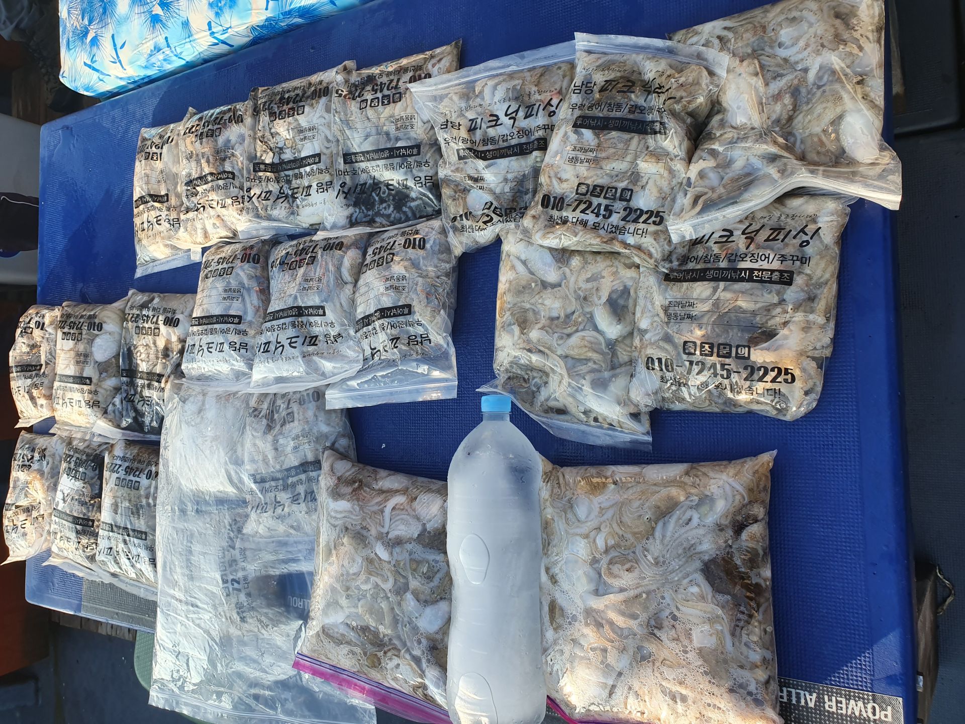 9윌10일피크닉호 주꾸미조황