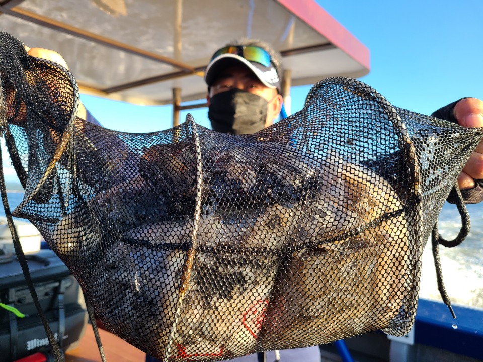 9월13일 뉴대성호 주꾸미조황