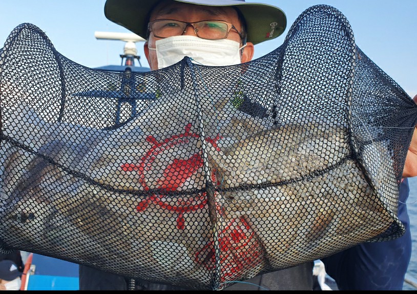 9월 25일 대성호 주꾸미 조황입니다