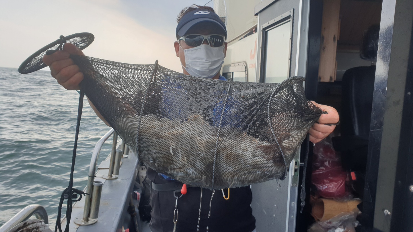 9월 9일 대성2호 쭈꾸미조황