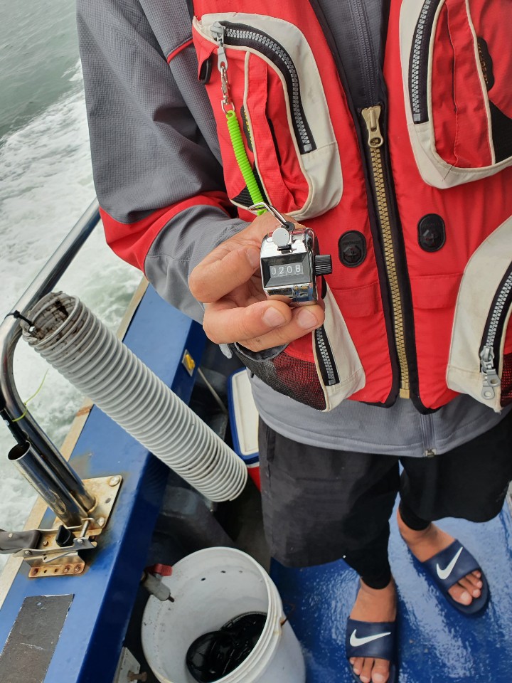 9월 9일 대성호 주꾸미조황입니다