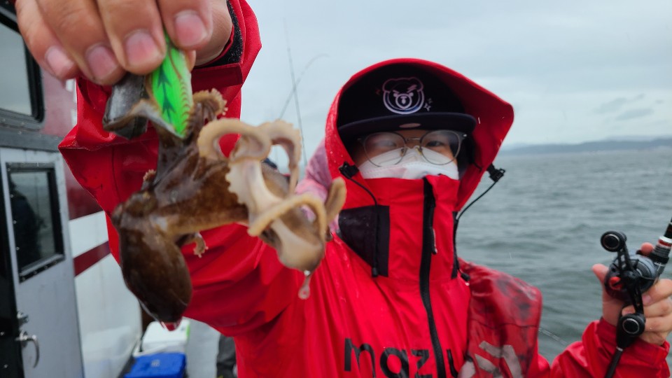 9월12일 뉴대성호 주꾸미조황