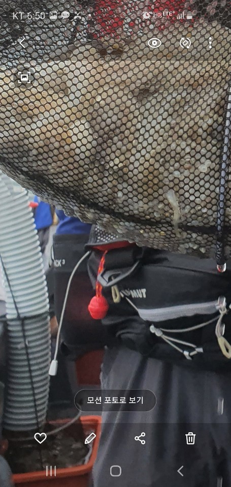 9월 14일 용진호 주꾸미조황