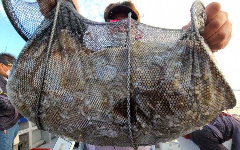 9월24일 뉴대성호 주꾸미조황