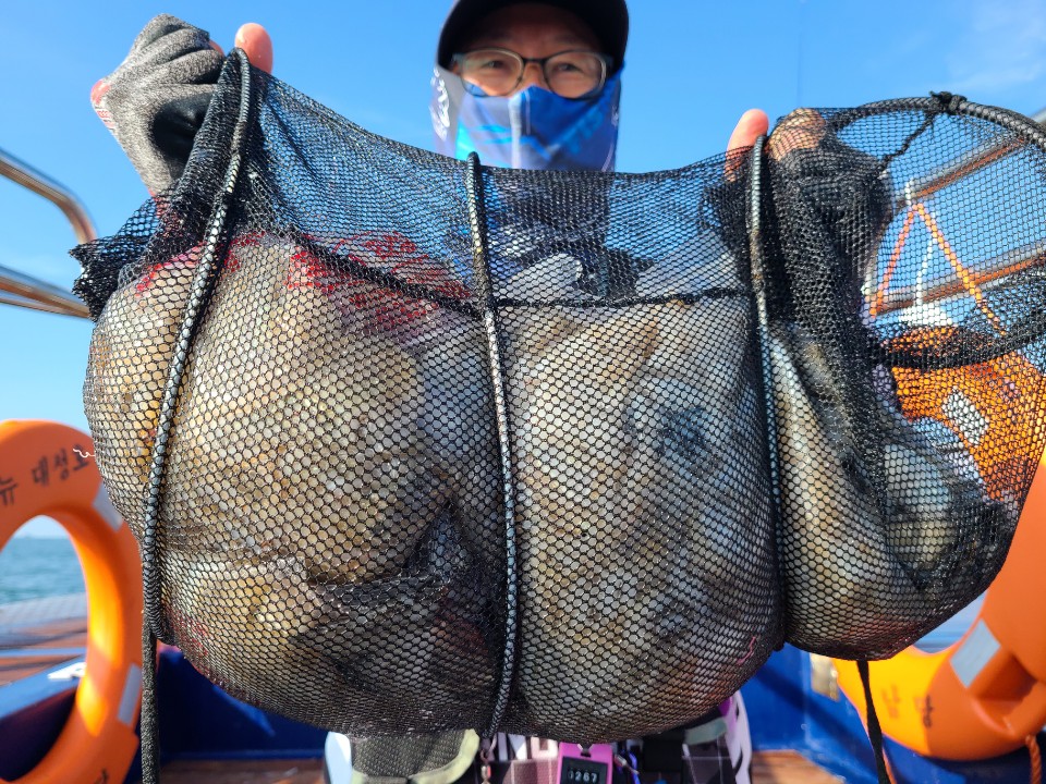 9월10일 뉴대성호 주꾸미조황