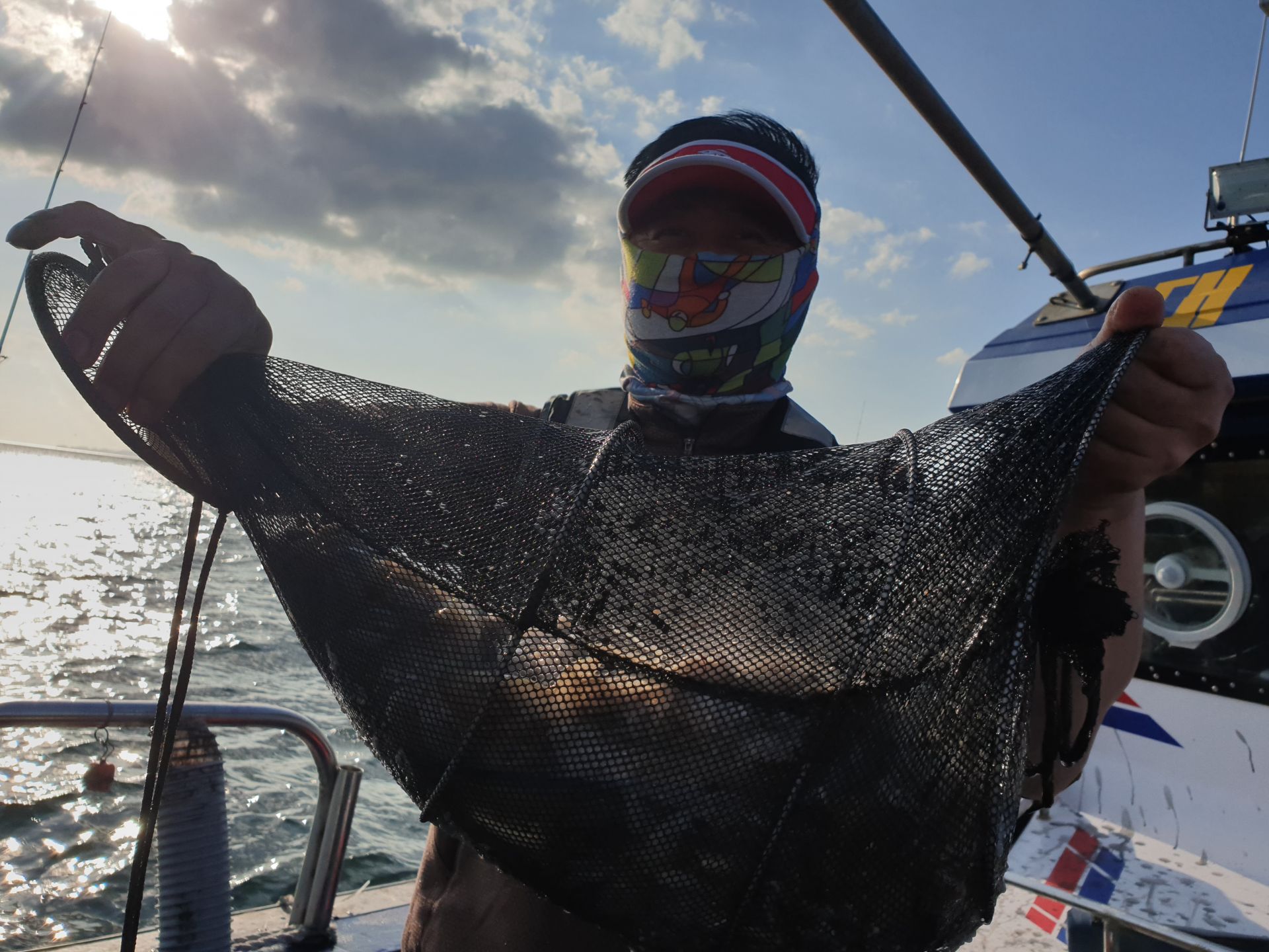 9월26일 대양호 주꾸미조황