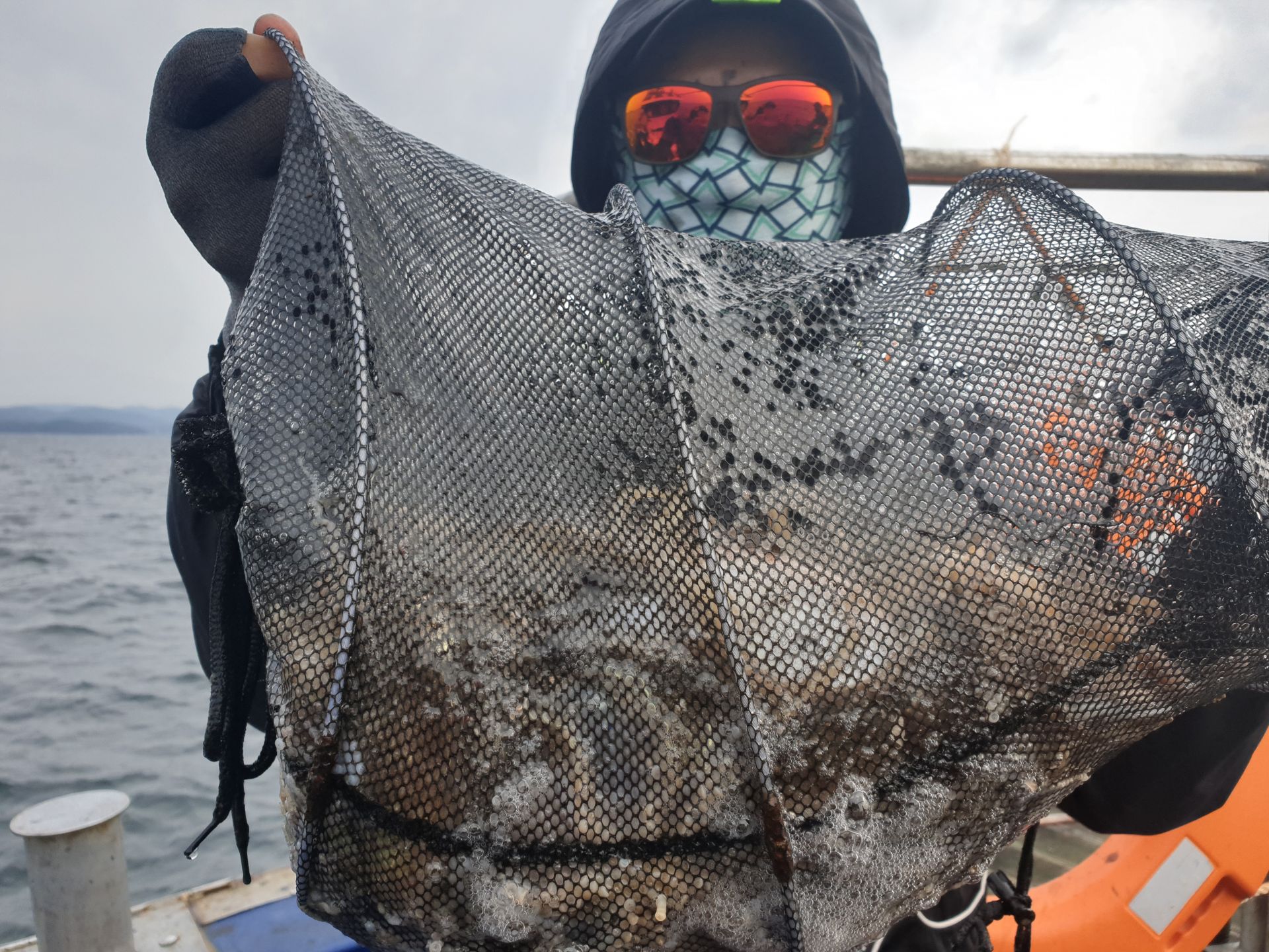 9월28일 29일 대양호 주꾸미조황