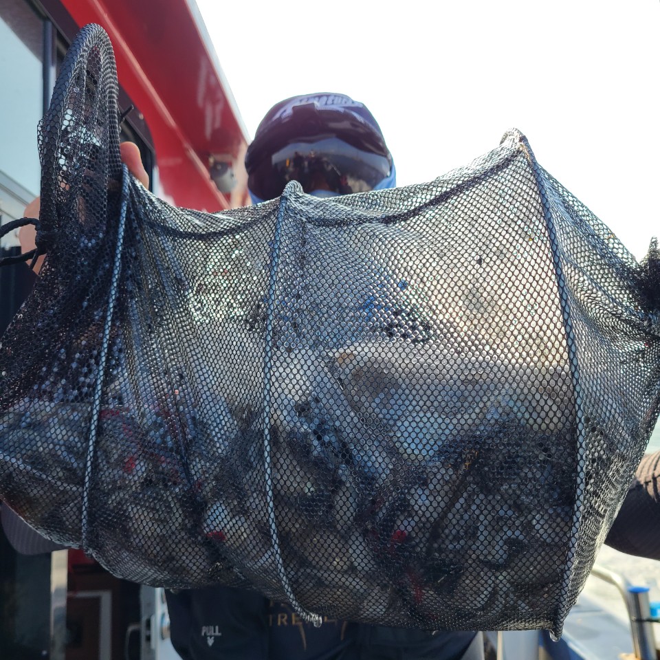 9월1일 뉴대성호 주꾸미조황