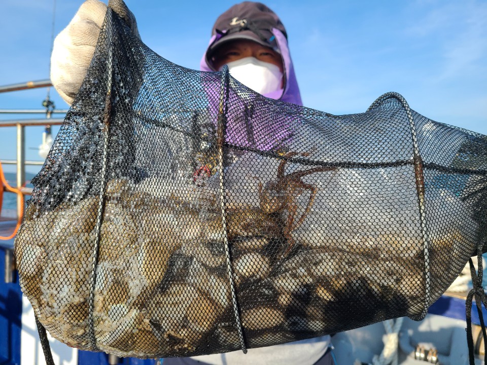 9월21일 뉴대성호 주꾸미조황