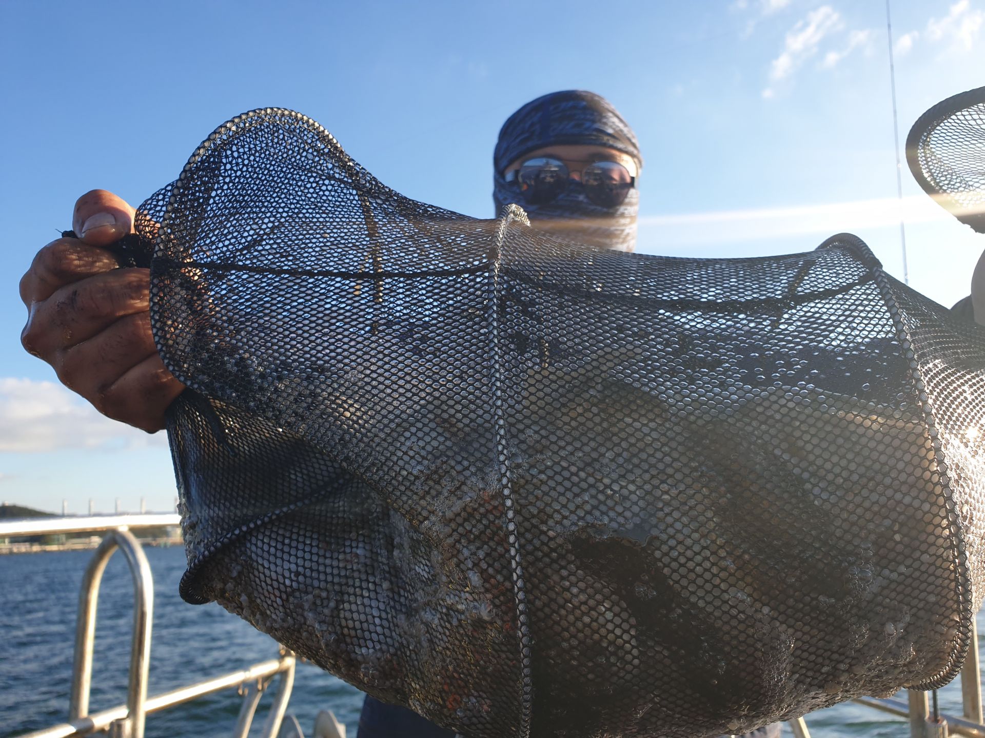9월13일 대양호 주꾸미조황