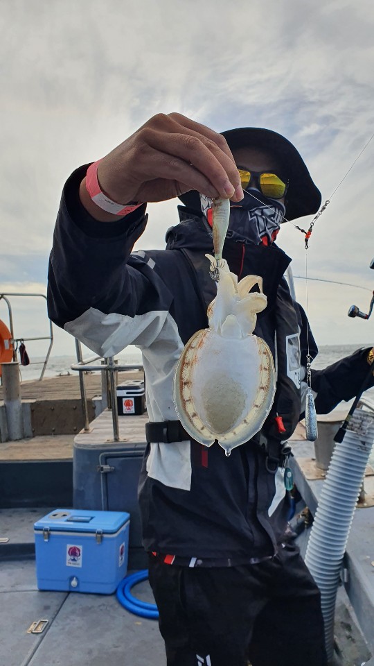 9월18일 용진호 갑오징어 조황