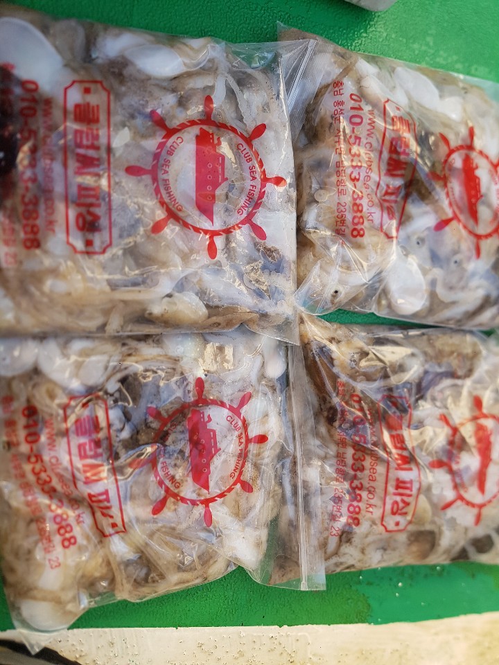 9월 14일 뉴궁리호 주꾸미 조황