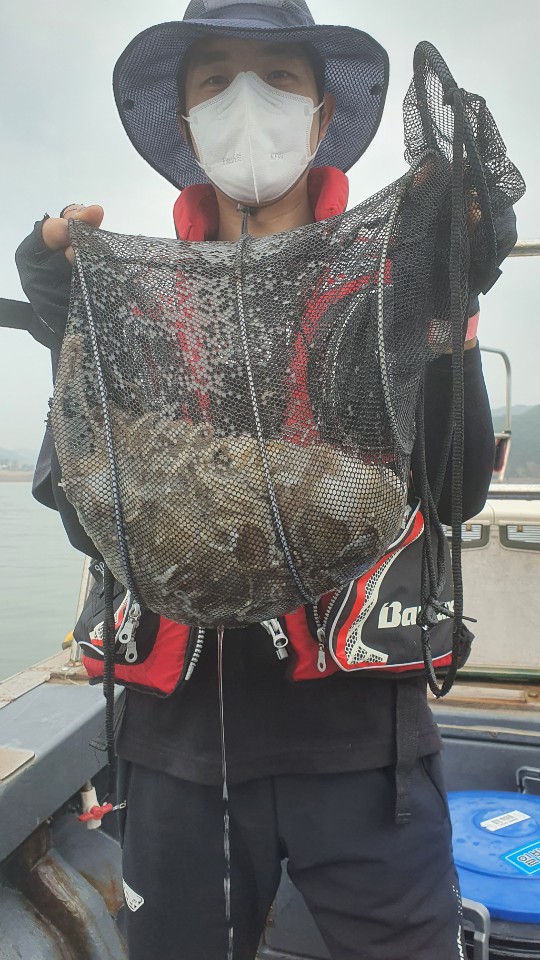 9월 11일 용진호 주꾸미 조황