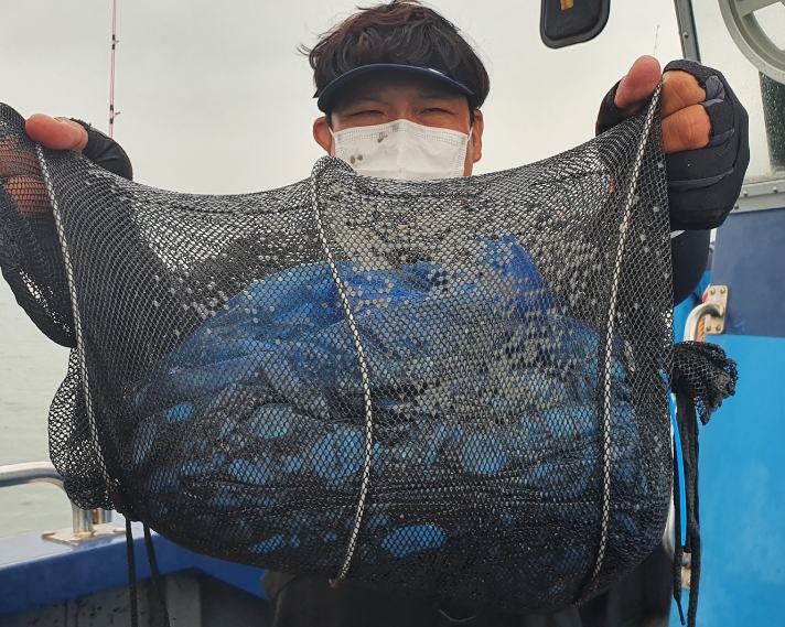 9월 16일 대성호 주꾸미조황입니다